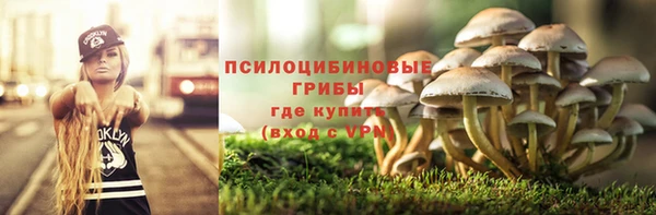 твердый Алексин