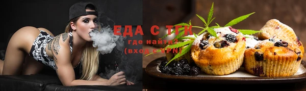 твердый Протвино