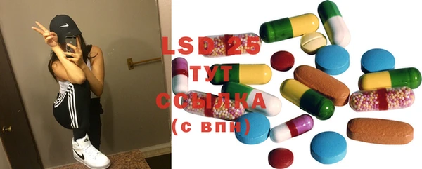 сатива Алзамай