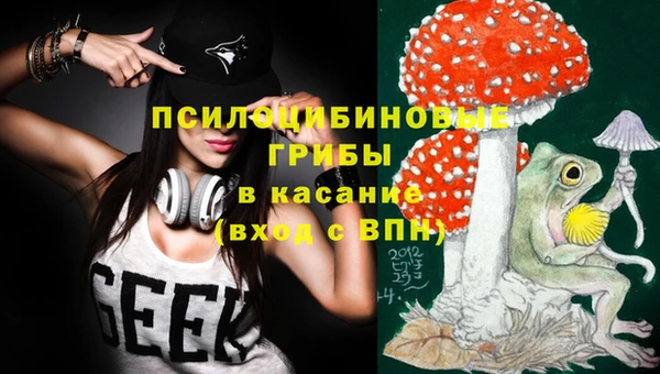 сатива Алзамай