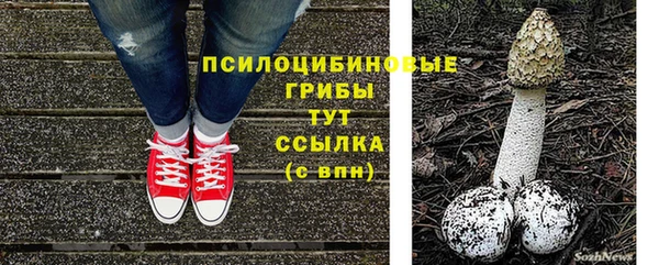 сатива Алзамай