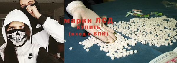 сатива Алзамай