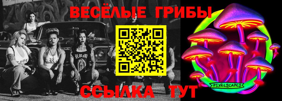 Кропоткин  Псилоцибиновые грибы ЛСД  Вход с VPN 